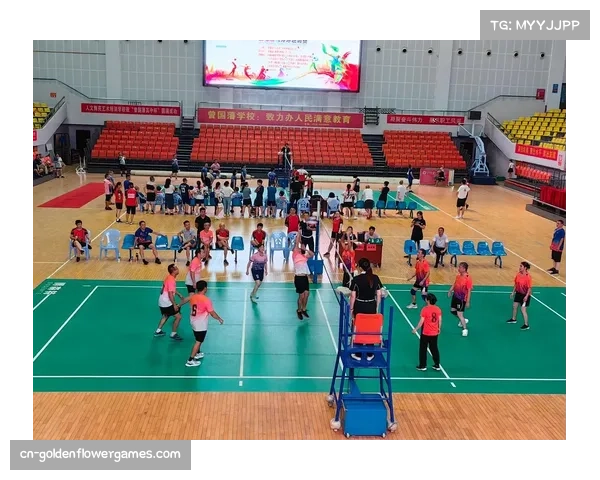 临高县春节元宵节文旅体活动融合排球赛事